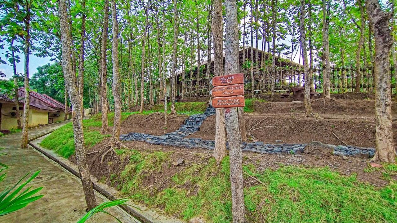 Kasuari Exotic Resort Magelang Kültér fotó